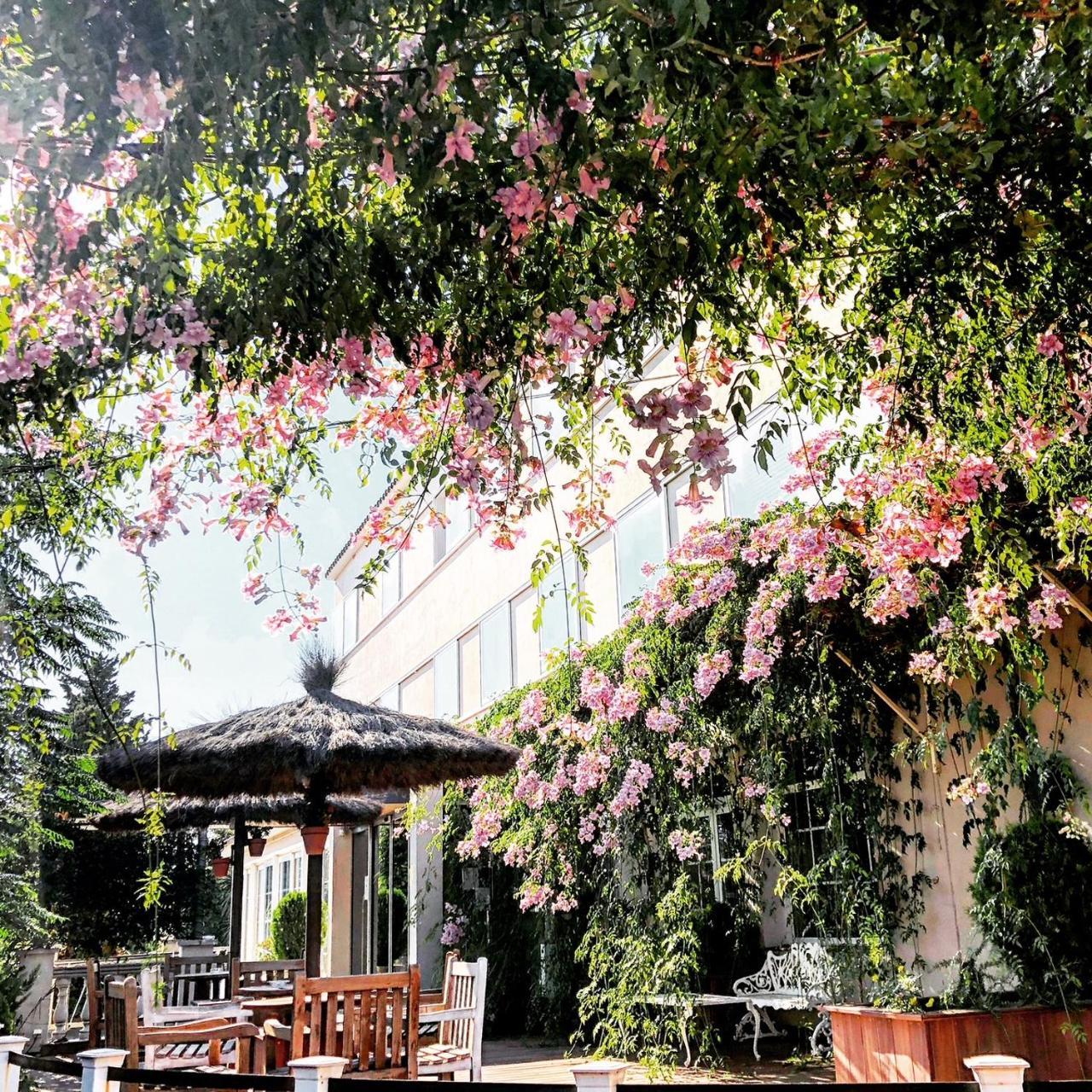 Hotel & Restaurant Figueres Parc Los Hostalets de Llers エクステリア 写真