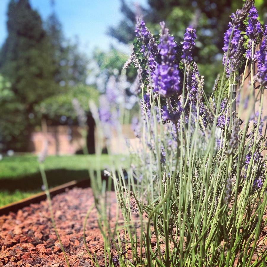 Hotel & Restaurant Figueres Parc Los Hostalets de Llers エクステリア 写真